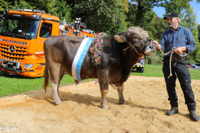 Dynamic Content Image