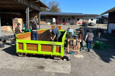 Dynamic Content Image